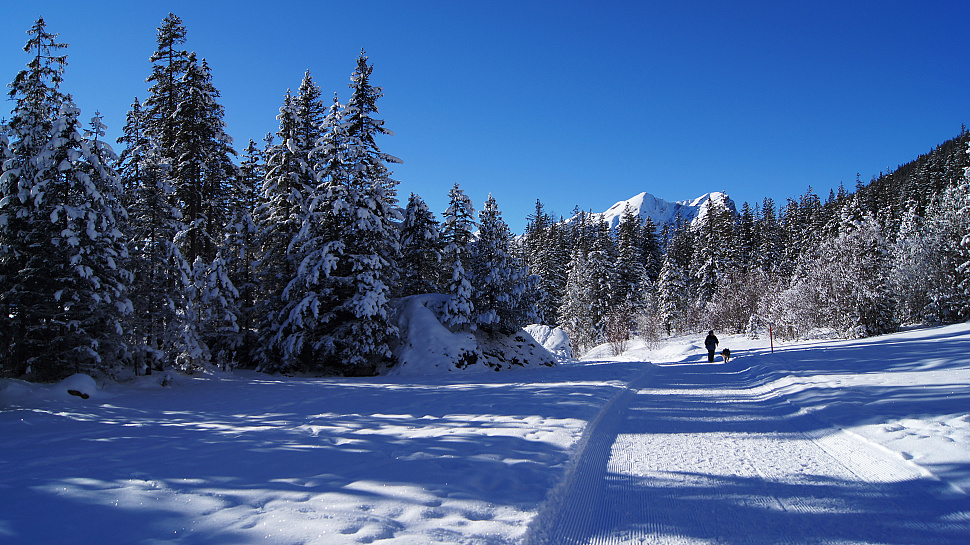 Winterwanderungen in der Schweiz und in Liechtenstein